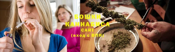 прущие крисы Арсеньев