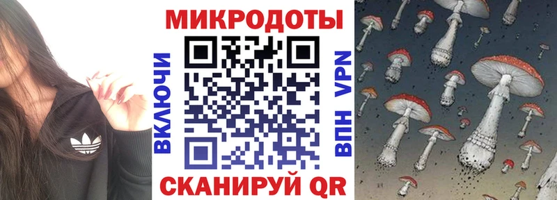 Галлюциногенные грибы Cubensis  закладки  Никольск 